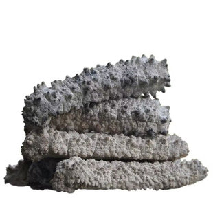 黄玉参澳洲进口野生海参淡干黄肉参深海白刺参猪婆参酒店滋补食材