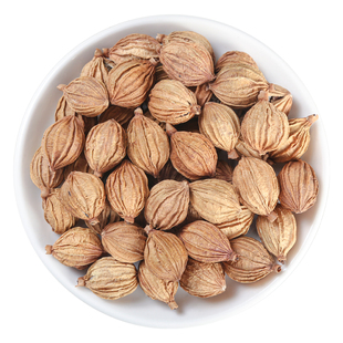 中药材特级天然香砂 香料川砂仁 正品土砂仁香砂仁香沙 500克新货