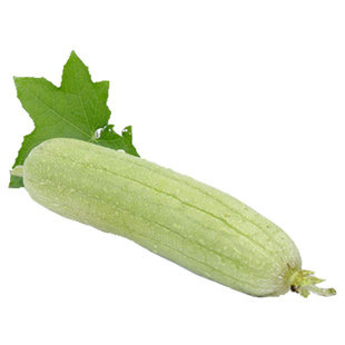 鼎牌种业牛奶高产丝瓜种子菜瓜种籽籽种蔬菜菜籽孑菜种水瓜新品种