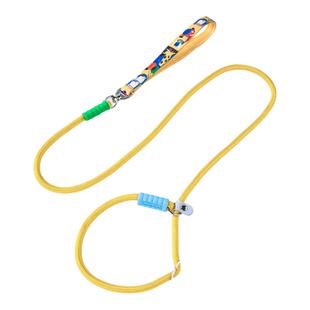 p链p绳狗狗牵引绳遛狗链子小中大型犬训犬防爆冲打结金毛宠物用品