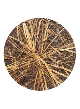 天然茶麸粉护养发去污
