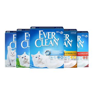 铂钻猫砂矿砂进口膨润土猫砂强效除臭抑菌结团猫砂4.2kg5L便携装