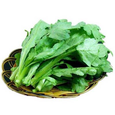 茼蒿种子蔬菜种籽大叶茼蒿种孑