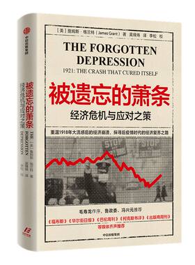被遗忘的萧条 经济危机与应对之策 詹姆斯 格兰特 著 ChatGPT AIGC  曼哈顿哈耶克图书奖 华尔街股灾 经济危机 后疫情时代 经济复