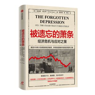 被遗忘的萧条 经济危机与应对之策 詹姆斯 格兰特 著 ChatGPT AIGC 曼哈顿哈耶克图书奖 华尔街股灾 经济危机 后疫情时代 经济复