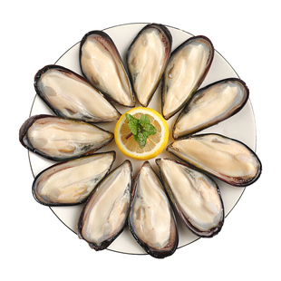 新鲜冷冻青口贝国产蓝口1000g/约30个寿司料理海鲜烧烤多省包邮