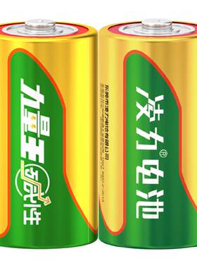 碱性煤气灶热水器大号电池1号