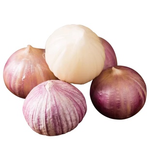 云南紫皮独头蒜干制 圆头蒜辛辣鲜香 当季蔬菜直供 耐储好用