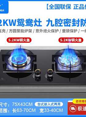 申花天然气燃气灶家用猛火双头煤气灶台式嵌入式液化气灶一级能效