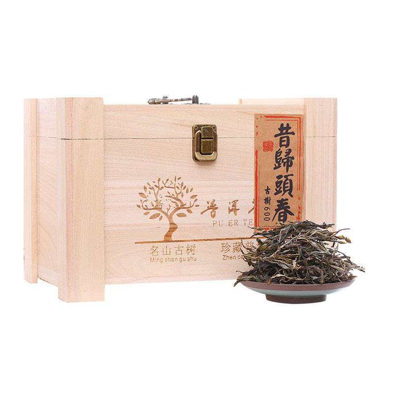 2024年昔归古树头春普洱茶生茶