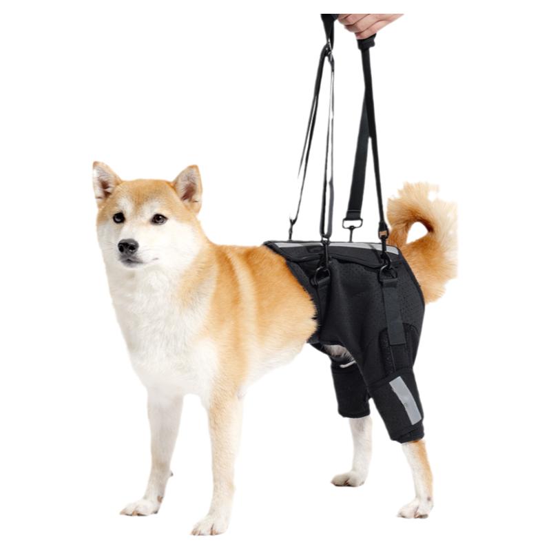 狗狗后腿辅助残疾老年犬辅助站立