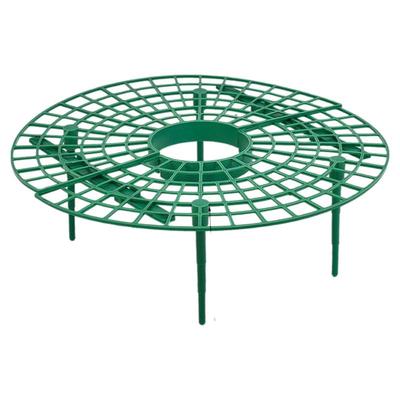 家庭草莓种植支架种植架防倒伏