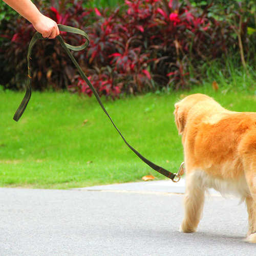 狗链狗绳牵引绳中大型犬大狗链子军绿尼龙编织加长款金毛通用锦纶