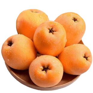 福建云霄枇杷新鲜水果当季鲜果琵琶大果批把孕妇整箱5斤顺丰包邮