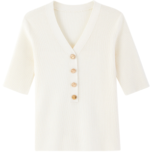 LANDI薄款V领100细羊毛短袖针织衫女夏季新款修身上衣