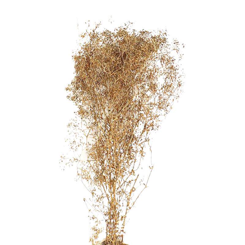 百万星小满天星瑕草干花包梦幻草