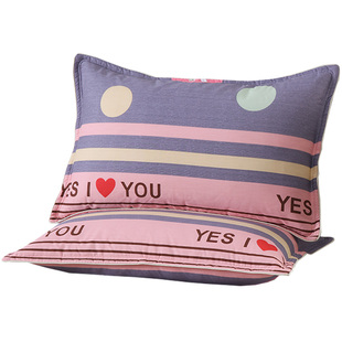 纯棉枕套一对装48x74cm加厚成人家用拉链学生40x60单个全棉枕头套