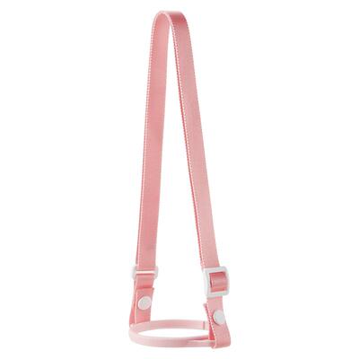 小狮王辛巴PPSU水杯吸管杯背带