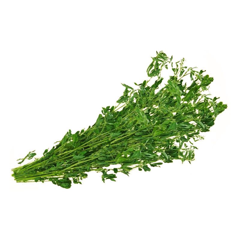 26年新鲜烘干苜蓿草兔龙猫紫花