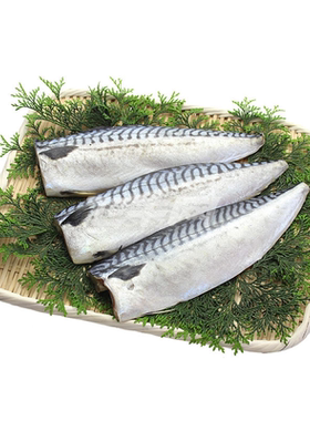 盐渍鲐鲅鱼片腌制青花鱼新鲜去头去骨冷冻海鲜商用食材烧烤