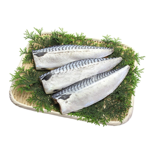 盐渍鲐鲅鱼片腌制青花鱼新鲜去头去骨冷冻海鲜商用食材烧烤