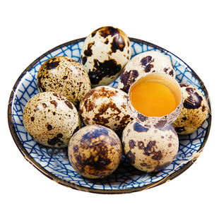 凡人乐50枚生鹌鹑蛋农家土特产杂粮喂养孕妇宝宝小鸟蛋农家自产