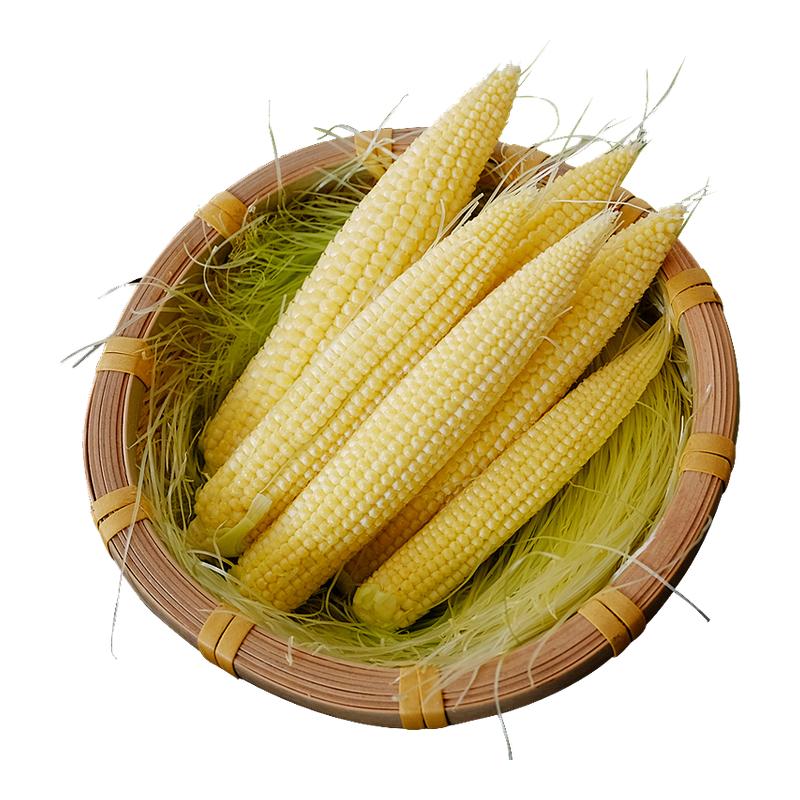 新鲜水果甜玉米笋10斤嫩玉米棒玉米蔬菜迷你小玉米芯仔批发