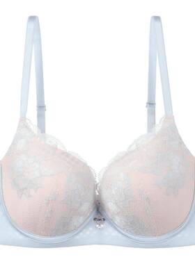 安莉芳专柜新品蕾丝桑蚕丝立体厚模杯文胸女小胸聚拢内衣EB00987