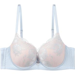 安莉芳专柜新品蕾丝桑蚕丝立体厚模杯文胸女小胸聚拢内衣EB00987