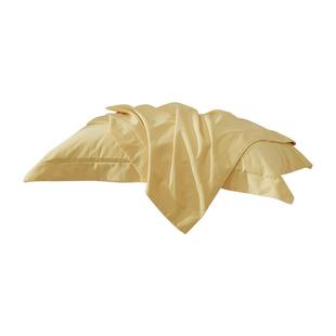 【自营】普利顿秋冬全棉磨毛枕头套纯色信封式枕套家用枕芯套一对