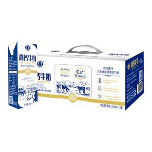 广西石埠高钙牛奶整箱200ml*24盒中老年儿童成长学生高钙奶甜牛奶