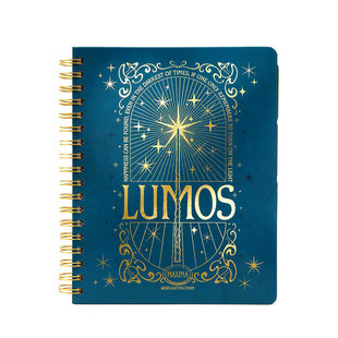 【预售】哈利波特:魔咒和魔药12个月计划表 笔记本Harry Potter: Spells and Potions 12-Month Undated Planner进口英文正版书籍