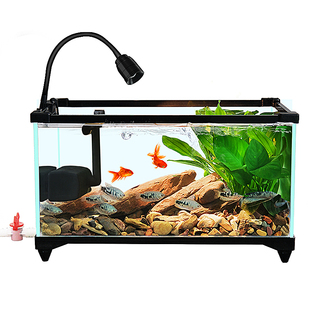 新款鱼缸南美溪流缸客厅小型生态缸超白玻璃原生缸桌面金鱼缸龟缸