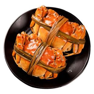 特大母蟹固城湖大闸蟹鲜活螃蟹断脚蟹残蟹全母蟹公蟹净重顺丰包邮