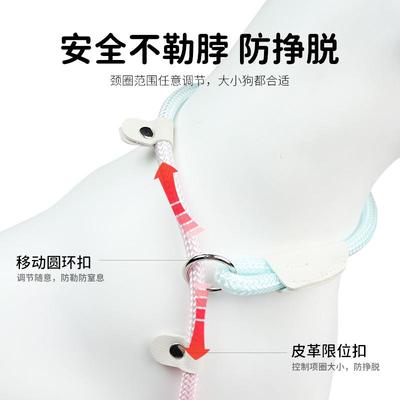 狗狗牵引绳p链可爱风遛狗绳粉色渐变高颜值它愿平替泡泡小型犬P绳