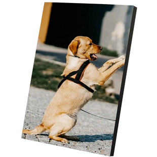 拉米娜水晶木版画摆台企业展板定做影楼洗照片做成相框挂墙北京