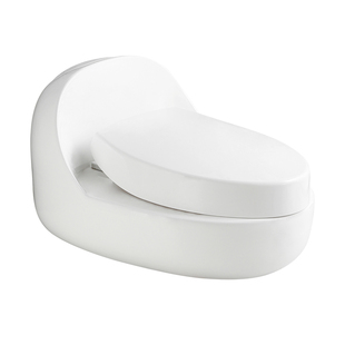 蹲坐两用马桶改蹲便器一体台式免挖坑坐厕变蹲厕明装双用蹲坑神器