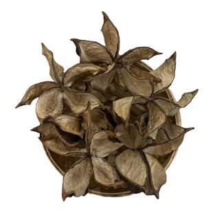 中药材棉花壳中国大陆食用农产品干货棉 正宗中草药花壳500g包邮