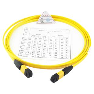 12芯万兆40G/100G预端接QSFP连接线光纤跳线尾纤MPO-MPO/APC 2米