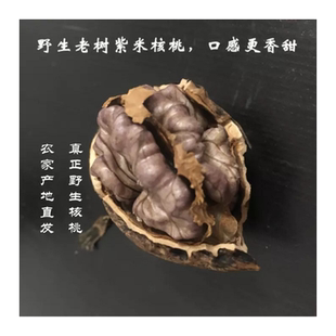新货 云南大理漾濞野生老树紫米尖嘴核桃 两斤五斤包邮送夹子
