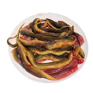 土黄鳝鱼段新鲜去头去脏鲜活现杀原生态鳝鱼片段炖骨煲汤鳝段商用