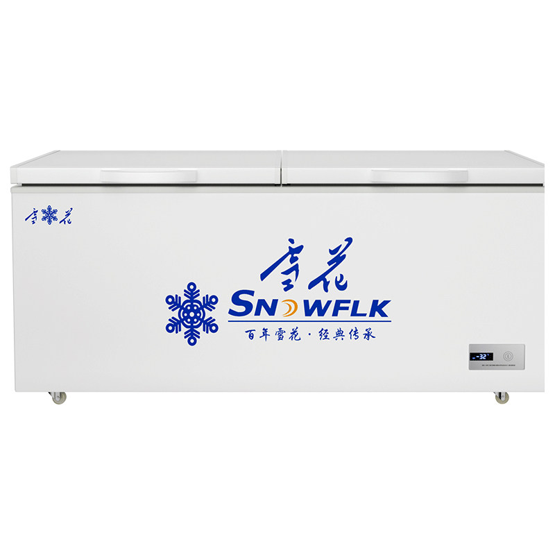 【热销】雪花冷冻冷藏柜卧式大容展示柜