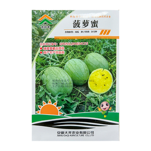 大齐菠萝蜜西瓜种子黄瓤薄皮香脆超甜春季四季水果种籽黄肉西瓜籽