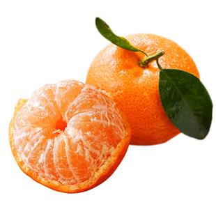 广西砂糖橘新鲜当季整箱水果10装正宗金秋沙糖蜜桔小柑橘沃桔子5