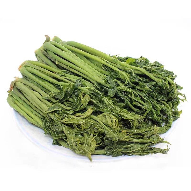 新鲜盐渍腌制香椿芽咸菜