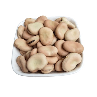 云南老品种干蚕豆新货农家生蚕豆白豆子生新鲜罗汉豆干货馋豆胡豆