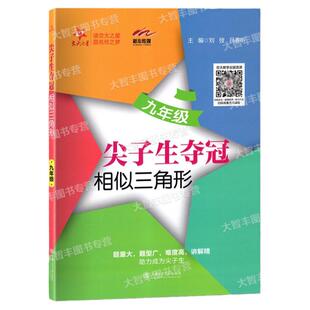 尖子生夺冠相似三角形九年级9年级上海交通大学出版社数学专项训练专题含答案