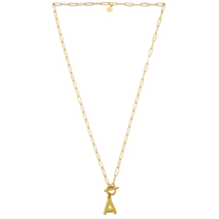 petit moments PAPERCLIP INITIAL 项链 金属金色 REVOLVE小众新