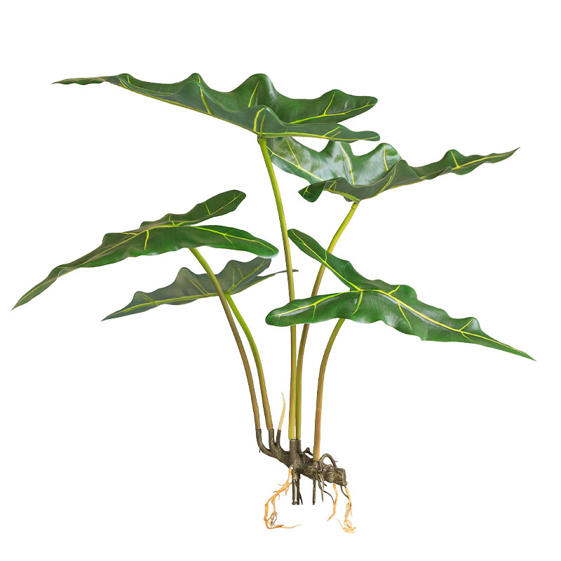 晶华仿真吊钟树万年青绿箩单支植物小盆栽带根植物墙装饰绿植造景