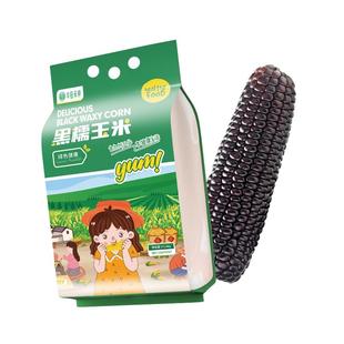 华田禾邦东北新鲜黑糯玉米新鲜软糯香黏低脂真空包装蒸煮即食代餐